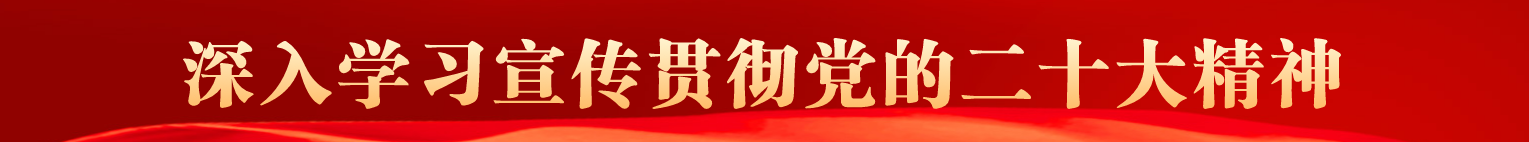 二十大