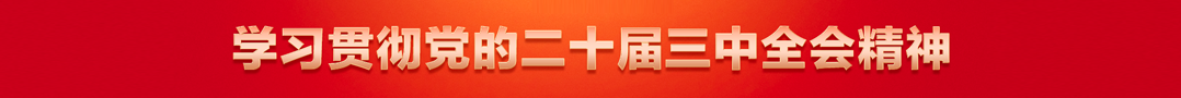 二十届三中全会