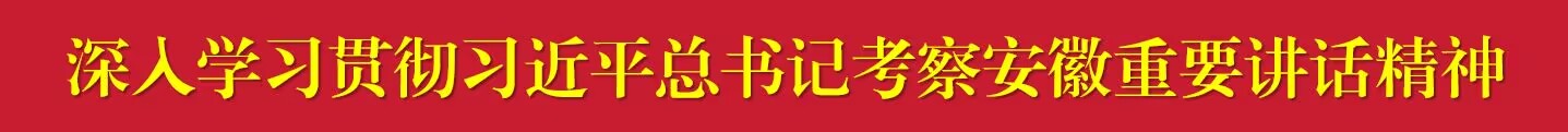 深入学习贯彻习近平总书记考察安徽重要讲话精神